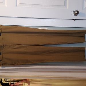 Ann Taylor pants